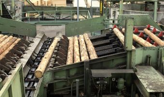 debarked logs rolling at lumber yard machine