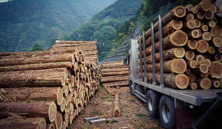 lumber truck loaded with logs for journey