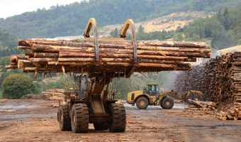 lumberyard truck loading log pile at yard