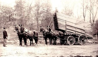 horse drawn mcilvain lumber