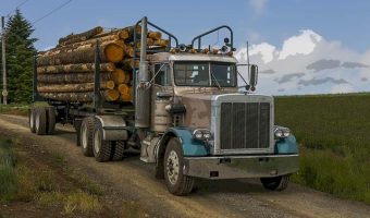 logs piled in logging truck on dirt road